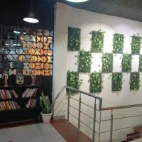 Stairwell Plant Gallery